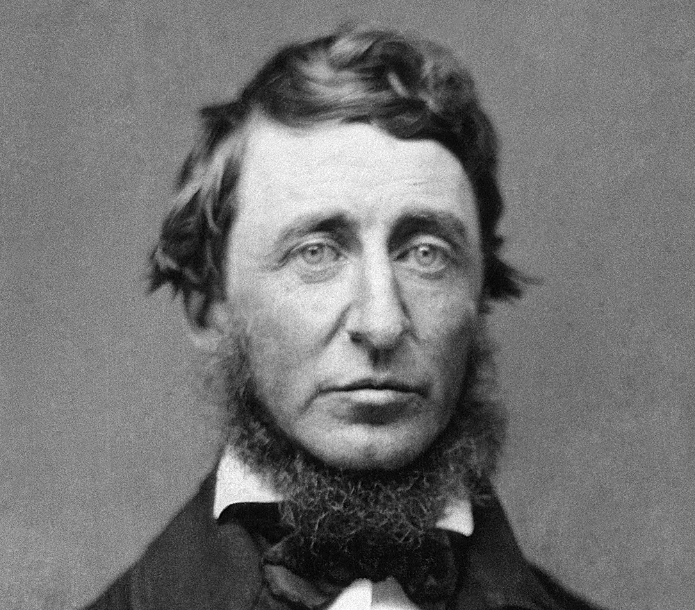 Portrait photograph from a ninth-plate daguerreotype of Henry David Thoreau (B.D.Maxham/National Portrait Gallery/Wikimedia Commons)